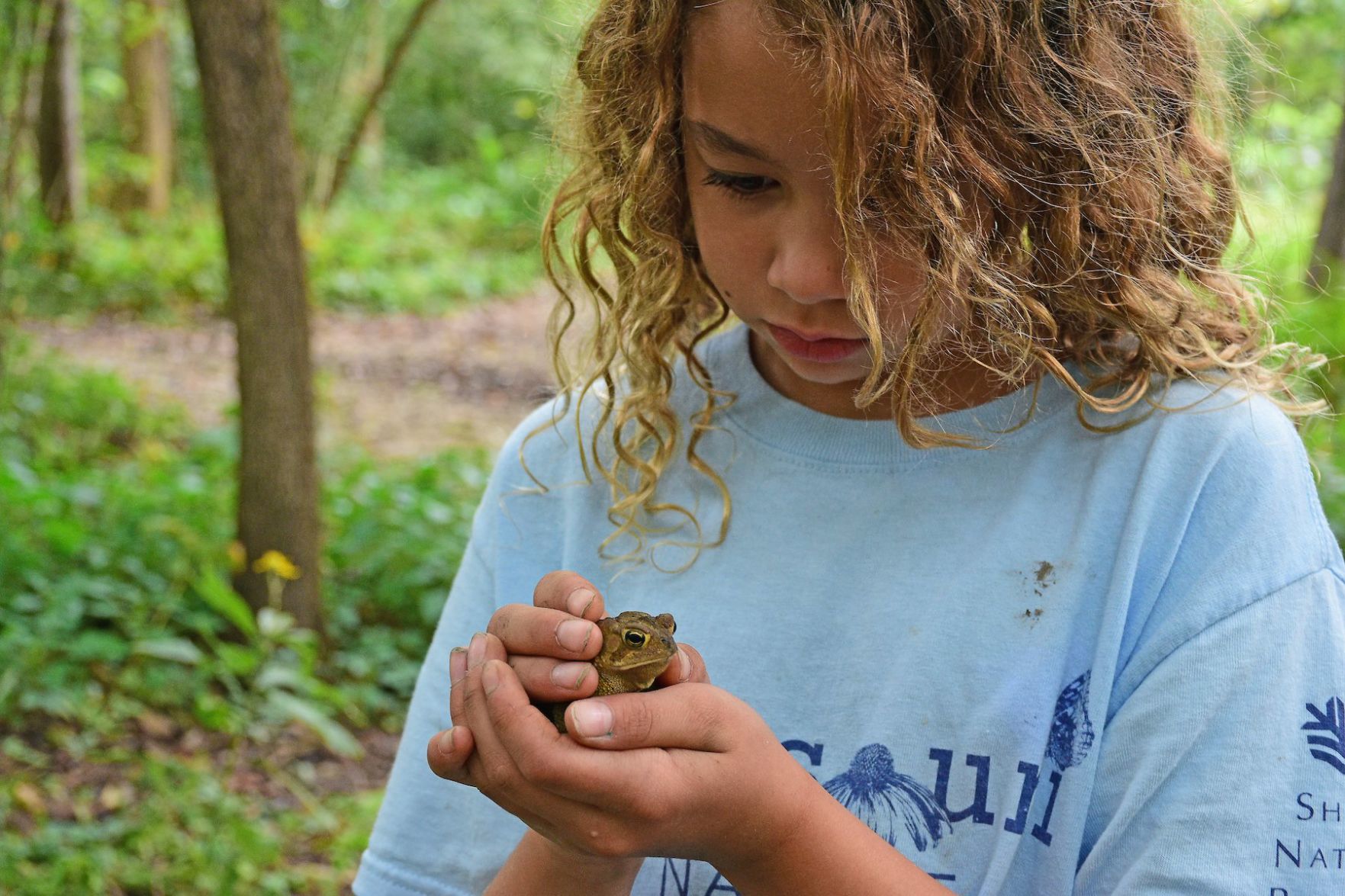 SNR_BioBlitz_2019_SundosSchneider_11